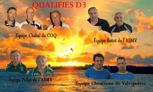 qualifies D3 copie